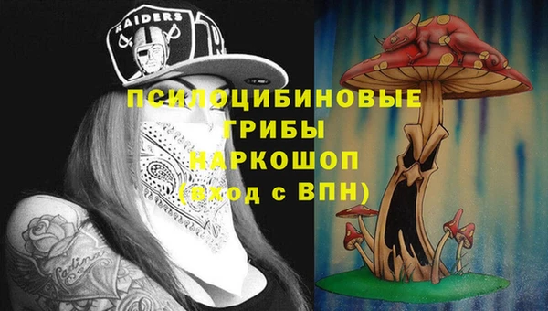 винт Абинск