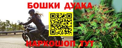 ALPHA-PVP Гатчина